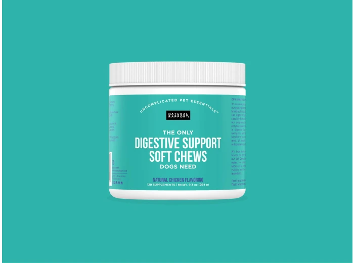 The Only Digestive Support Soft Chews Dogs Need 120 count jar
