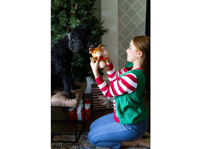 Reindeer Plush Rope Christmas Dog Toy