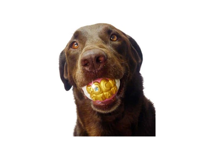 Humunga Bling - Durable Rubber Pet Chew Toy for Dogs Standard
