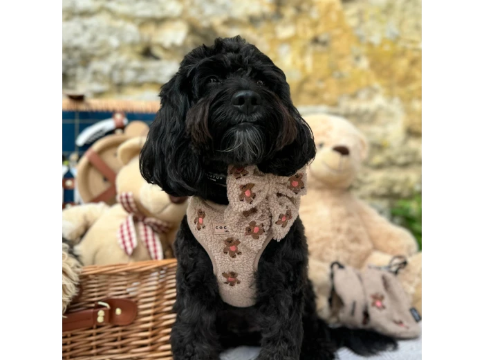 Theo Embroidered Teddy Adjustable Neck Harness L