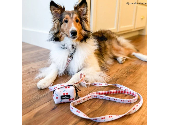 The Cheery Cherries Poop Bag Holder