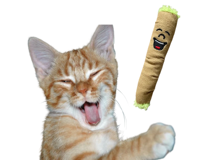 Lil' B the Blunt | Funny Cat Toy | Cool Plush Catnip Toy