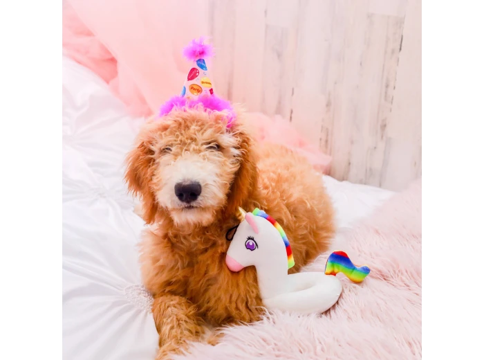 H&K Party Hat Party Time Pink with SnugFit® LG