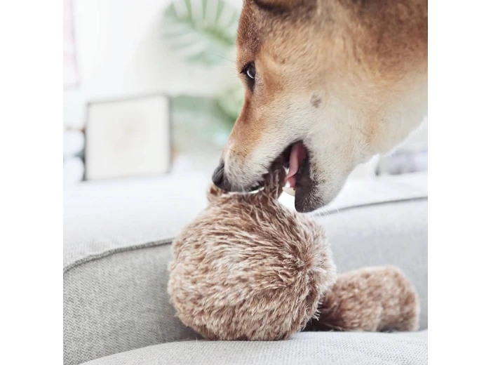 WHOLESALE SQUIRREL POP//ENRICHMENT DOG TOY M
