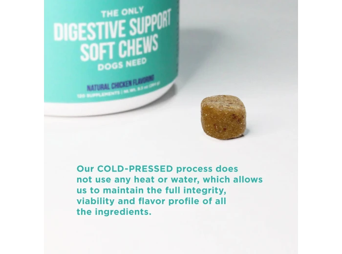 The Only Digestive Support Soft Chews Dogs Need 12 count pouch