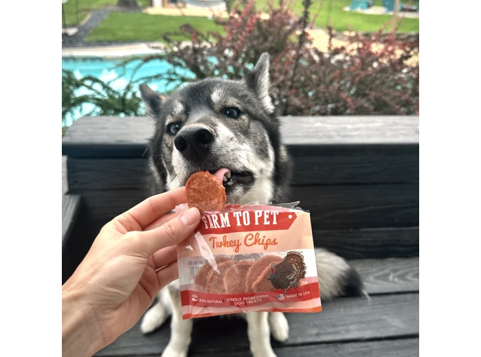Turkey Chips Snack Packs for Dogs (24)