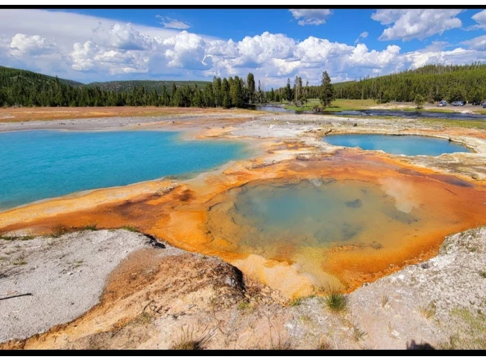 Spray Cologne For Dogs - Yellowstone - National Park Series