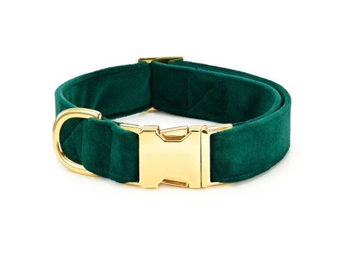 Forest Green Velvet Holiday Day Dog Collar S Gold