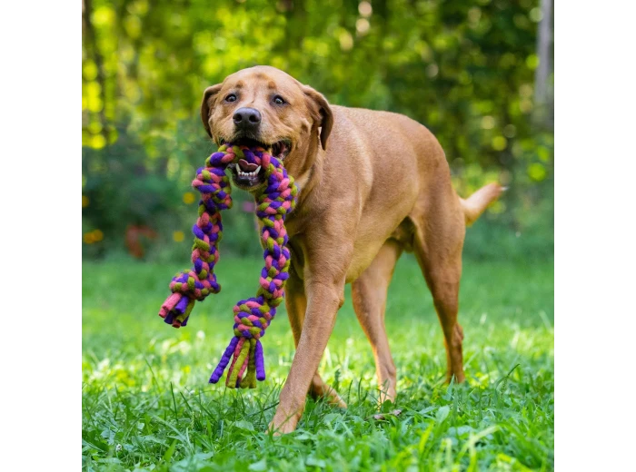 Dharma Dog Toy, Knotted Rope Pull, Purple/Green 10