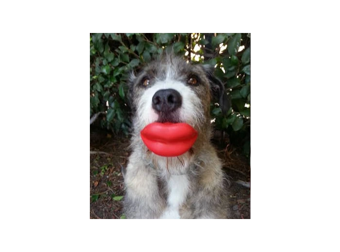 Humunga Lips Standard