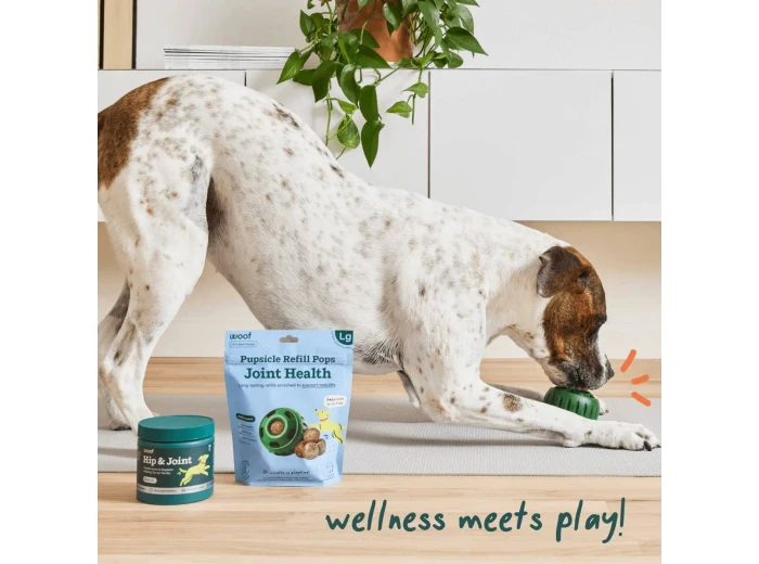 Hip & Joint Wellness Pops Extra Large