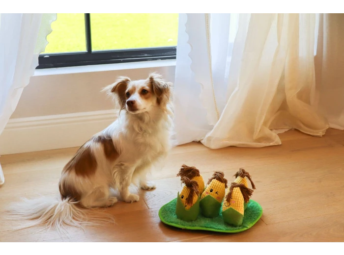 Corn Maze Snuffle Toy