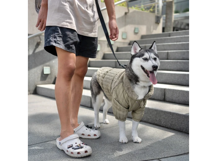 WHOLESALE SOHO//DOG CLOTHING//APPAREL Fern