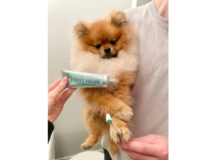 Puppy Polish Toothpaste - Filet Mignon (Beef)