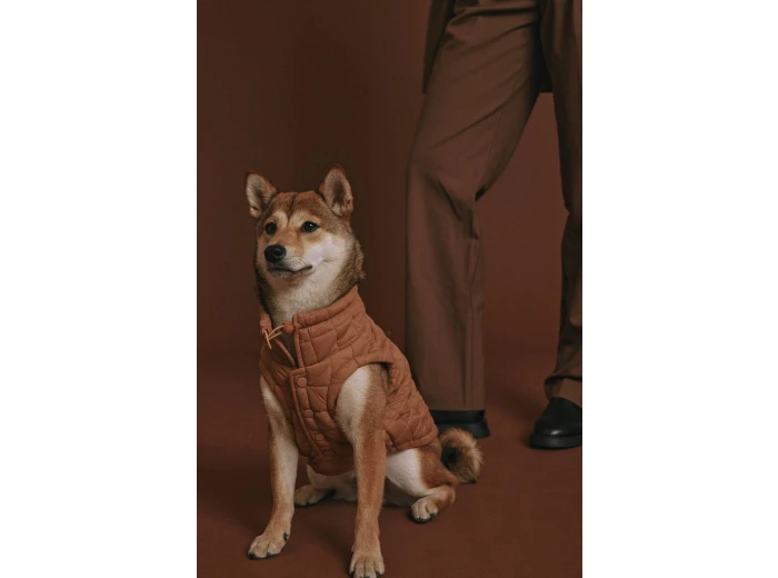 Easy Fit Jacket for Dogs Light Pink