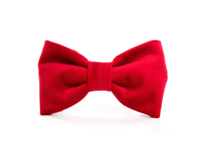 Cranberry Velvet Dog Bow Tie Large