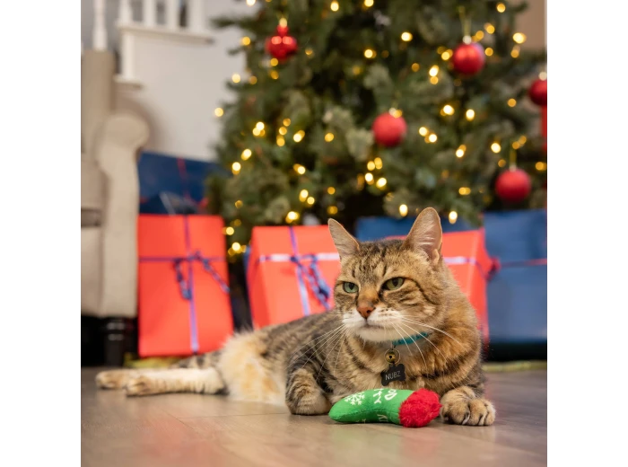 Good/Bad Kitty Stocking For Cats