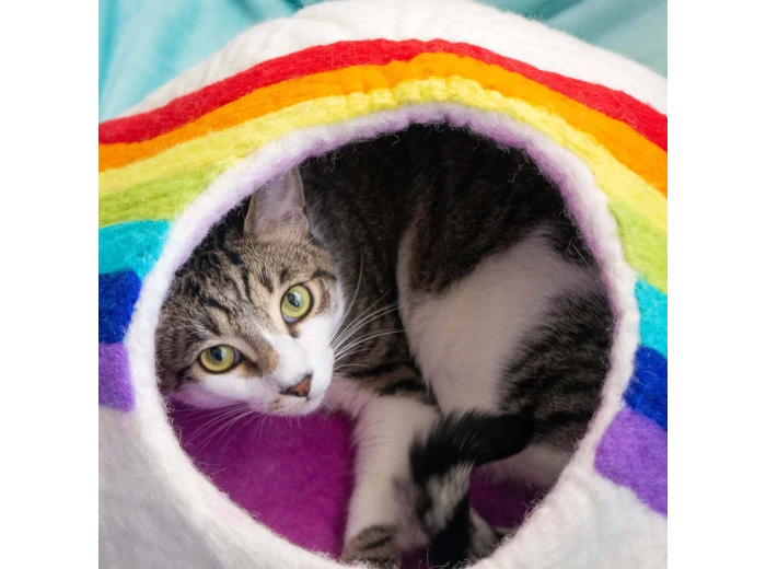 Rainbow Eco Kitty Cave - Cat Cave PACKAGE FREE (NO bag)