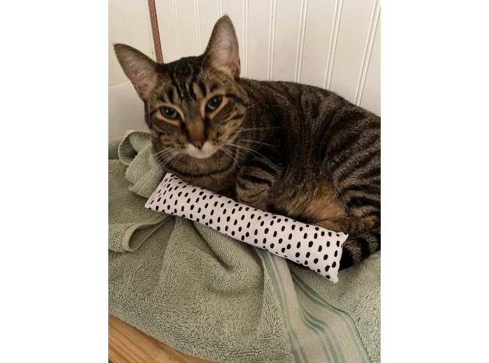 Cat nip kicker Random
