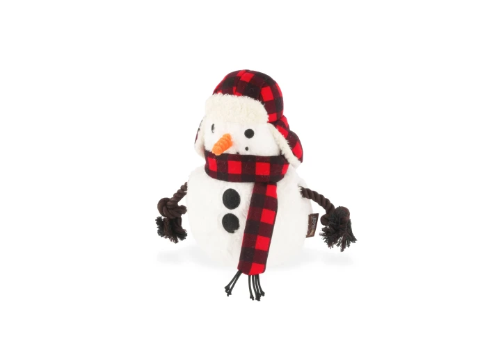Home for the Holidays - Blizzard Buddy