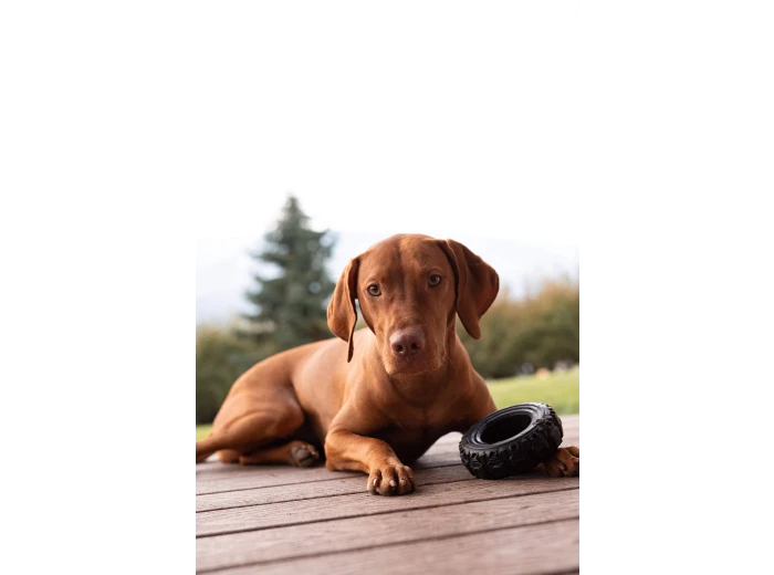 The Tire - Reclaimed Rubber Toy - MADE IN THE USA Large