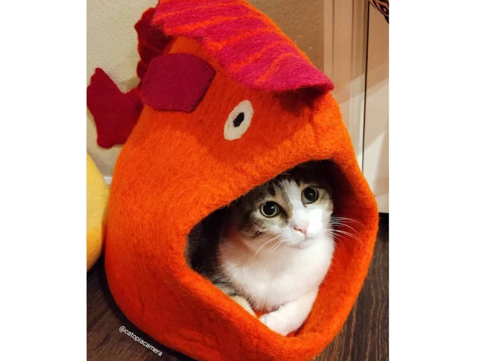 Fish Wool Pet Cave Orange