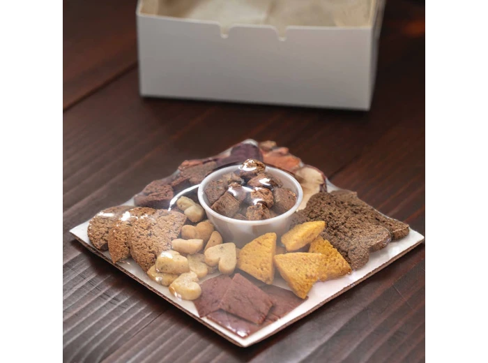 Dog Charcuterie / Barkuterie Treat Box, 3 sizes Medium