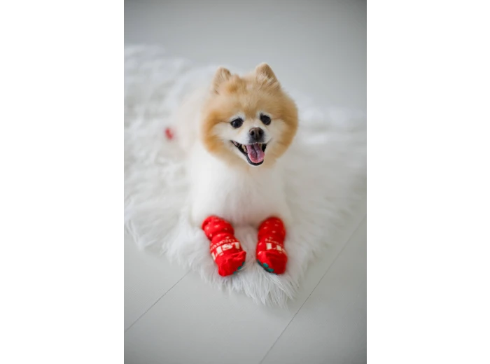 Nice & Naughty List Human & Dog Christmas Sock Set