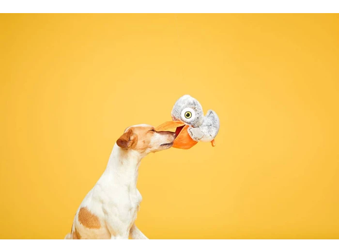 BARK Big Bill & Beak-A-Boo Fish