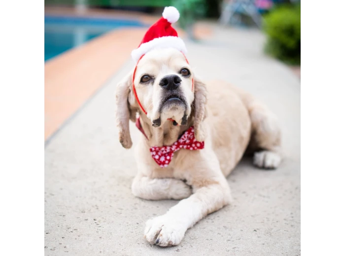 H&K Hat Santa with SnugFit® LG
