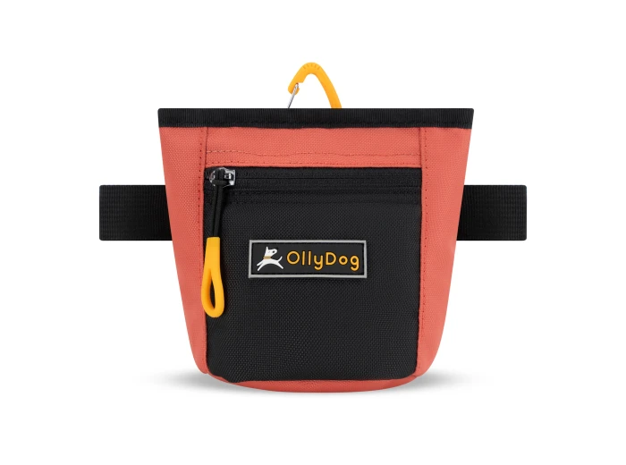 Goodie Treat Bag - Dog Treat Pouch Reef