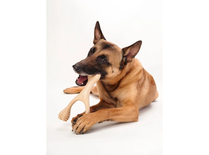 BetterBone HARD -Durable, All-Natural, No Nylon, Sustainable Unflavored