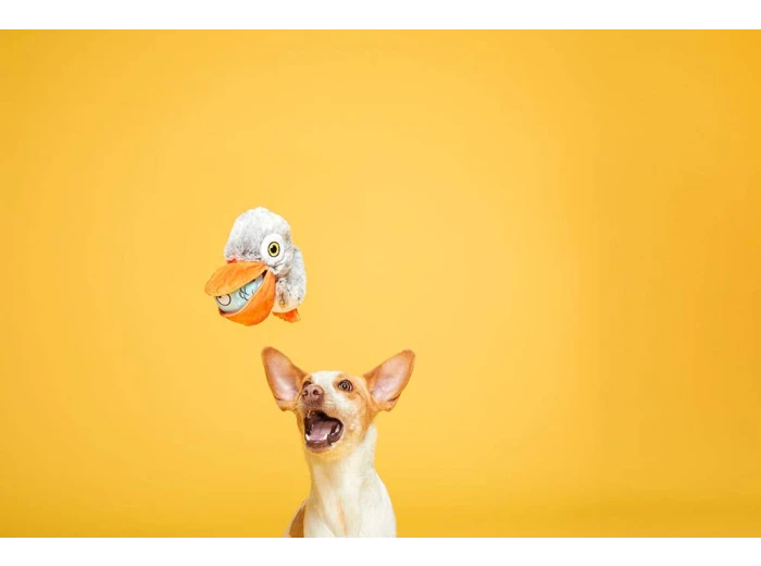 BARK Big Bill & Beak-A-Boo Fish