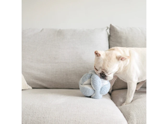 WHOLESALE MONTI//ENRICHMENT DOG TOY Baby Blue
