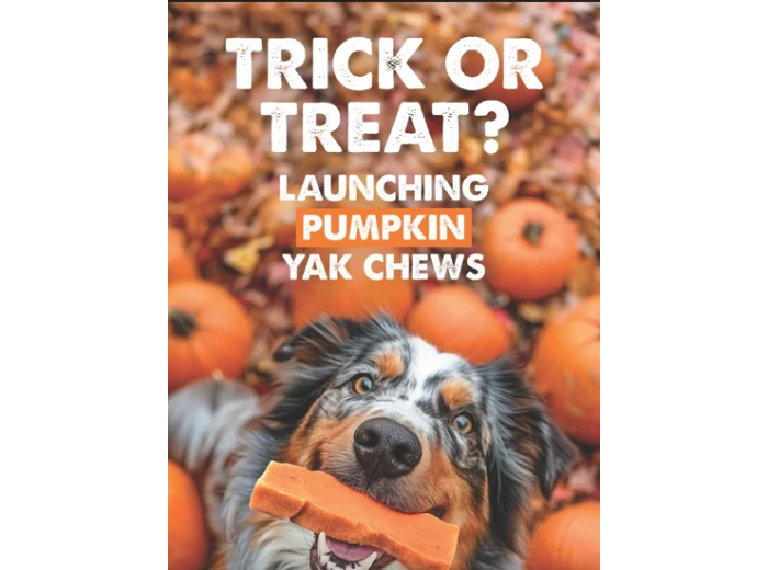 Pumpkin Yak Milk Chews - Large Sized 5 Pounds