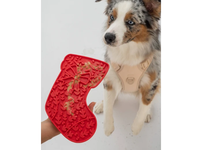 Stocking Enrichment Lick Mat with Silicone Spatula