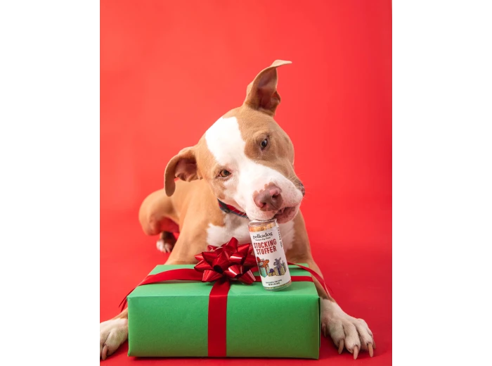 Holiday Mini Tube: Stocking Stuffer - Dog Treats