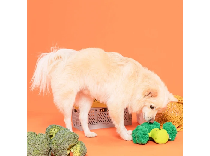 Broccoli Nose Work Toy