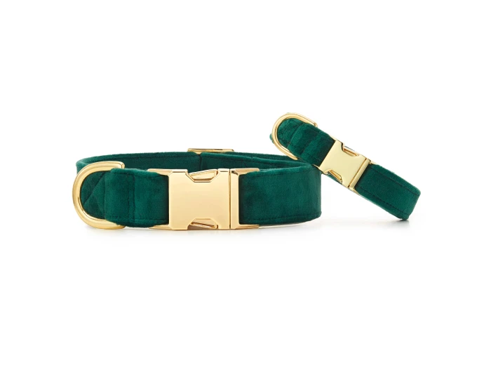 Forest Green Velvet Holiday Day Dog Collar L Gold