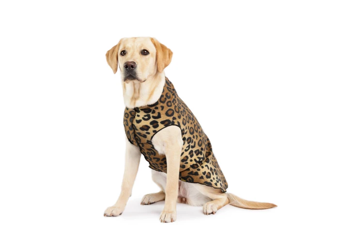 Stretch Fleece Sizes 14-30 Huckleberry