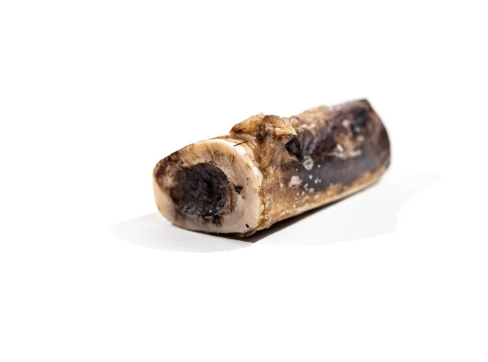 Bison Marrow Bone - 4"