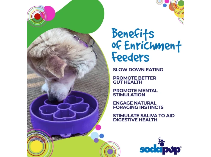 Flower Design eBowl Enrichment Slow Feeder Bowl for Dogs Pink