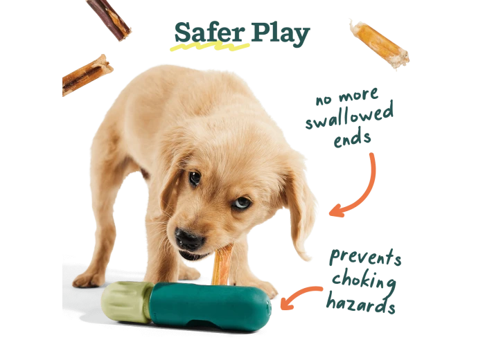 The BullySafe