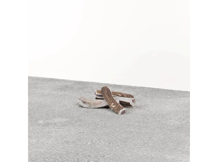 Primal Dog Stag Antler Small