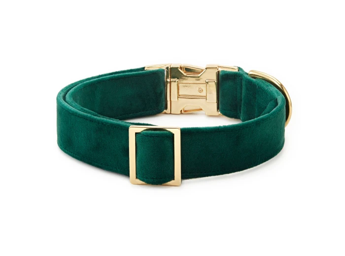 Forest Green Velvet Holiday Day Dog Collar S Gold