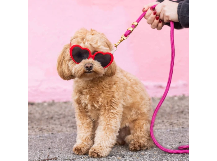 Hot Pink Marine Rope Dog Leash Petite 5 feet