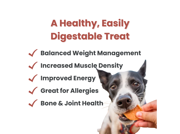 Chicken Chips Dog Treats 12oz