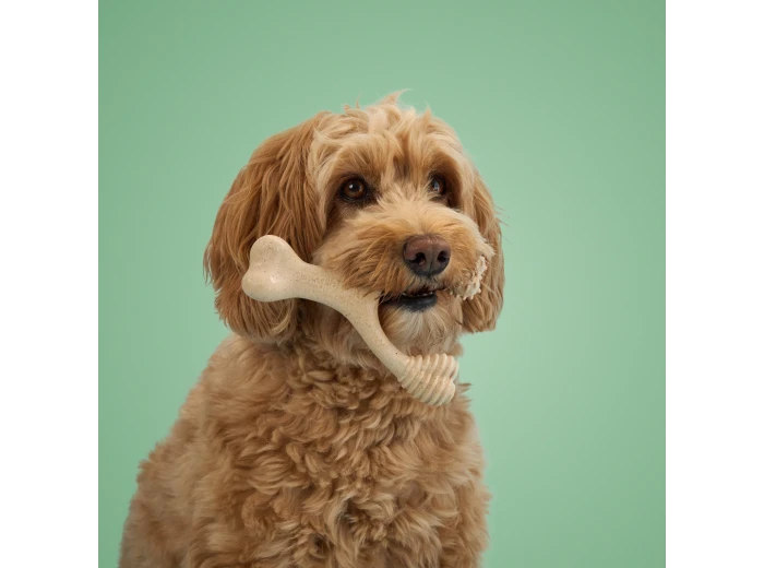 BetterBone MEDIUM - Natural, No Nylon, Softer Than Nylon ECO Beef