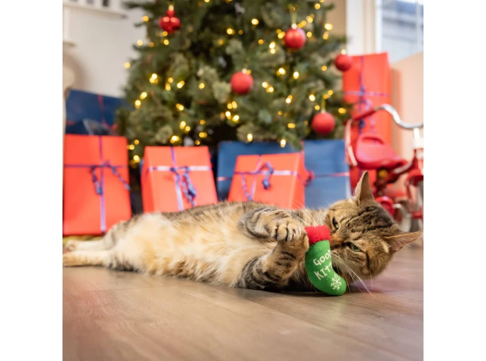 Good/Bad Kitty Stocking For Cats