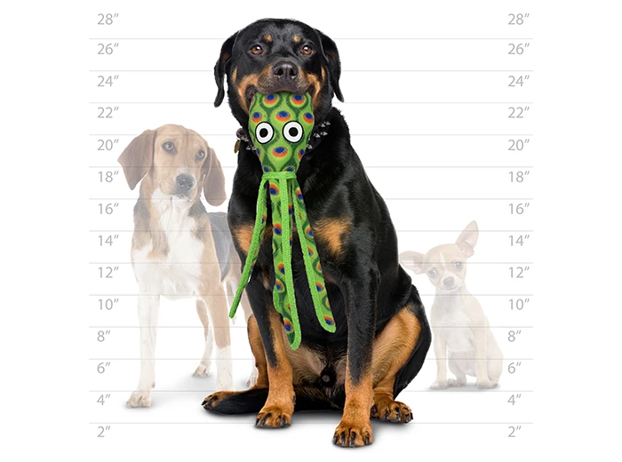 Tuffy Ocean Squid - Green, Durable, Tough, Squeaky Dog Toy